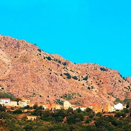 Auberge Casa Mathea Poggio-di-Venaco Екстер'єр фото